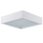 Immagine di PLAFONIERA A SOFFITTO - E27 - IP20 - BIANCO MERSA