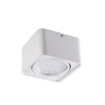 Immagine di PROIETTORE A SOFFITTO ORIENTABILE   - TUBEO 1XGU10 - ES111 - 150*150*95 mm - BIANCO