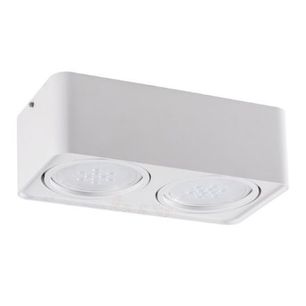 Immagine di PROIETTORE A SOFFITTO - TUBEO 2XGU10 - ES-111- 290*150*95 mm - BIANCO