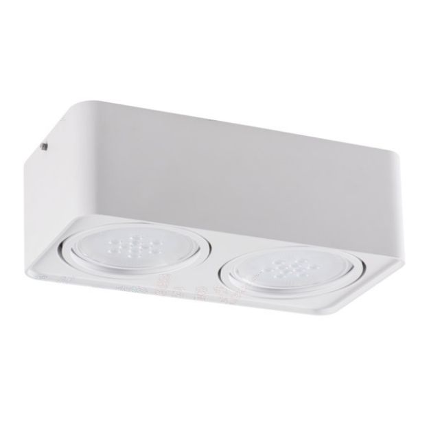 Immagine di PROIETTORE A SOFFITTO - TUBEO 2XGU10 - ES-111- 290*150*95 mm - BIANCO