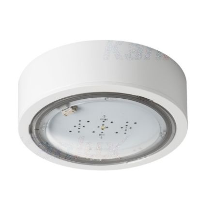 Immagine di Lampada LED di emergenza ITECH - IP65 - interruttore automatico - illuminazione antipanico - 2W - TEST AUTOMATICO - 3H
