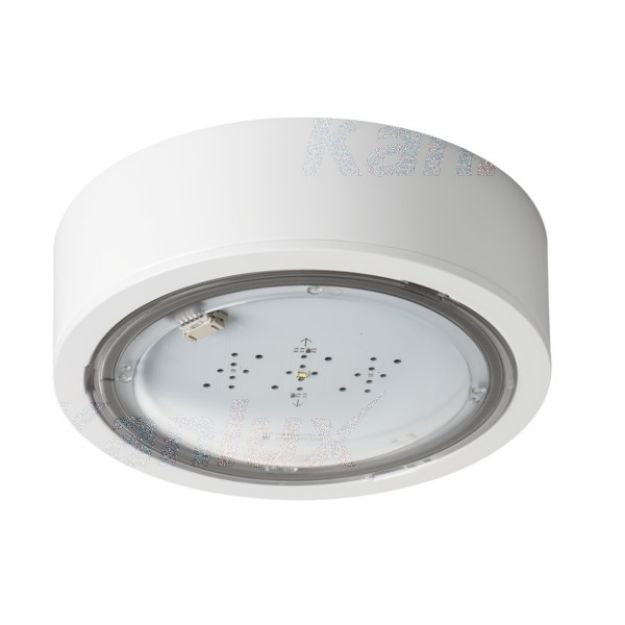 Immagine di Lampada LED di emergenza ITECH - IP65 - interruttore automatico - illuminazione antipanico - 5W - TEST STANDARD - 1H