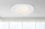 Immagine di JOCELYN  LED 40W - 3000*6500 - 50*49*6,5 CM - ROTONDA - SMART LIGHT O TELECOMANDO 