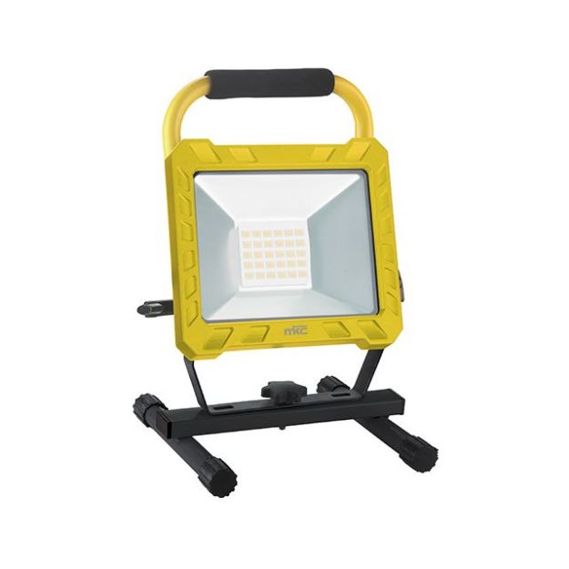 Immagine di Faro da cantiere RISER 30W 6500K LED SMD - Angolo 100°