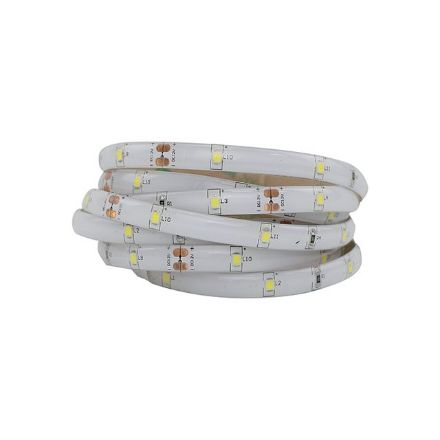Immagine di Striscia led ip20 5W/m 24V - 5 MT - IP20 E IP65 
