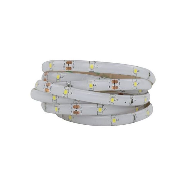 Immagine di Striscia led ip20 5W/m 24V - 5 MT - IP20 E IP65 