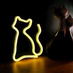Immagine di LUCE NEON -  LED CAT warm white Bat + USB FLNEO3 
