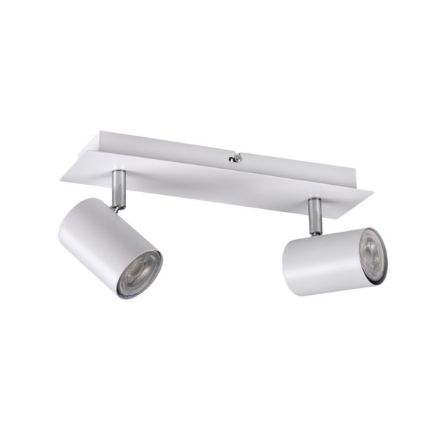 Immagine di FARETTI DIREZIONALI DA SOFFITTO E PARETE - EVALO 2XGU10 - BIANCO