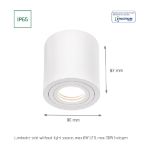 Immagine di PROIETTORI A SOFFITTO ESTERNO E INTERNO - IP65 - 1XGU10 - 90*97 - CHLOE - BIANCO