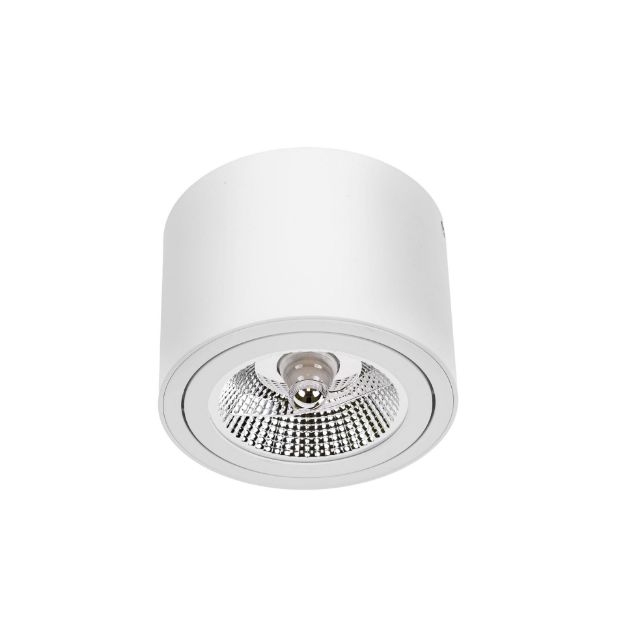 Immagine di PROIETTORI A SOFFITTO - IP20 - 1XGU10-AR111 - 139*100 - CHLOE AR111 GU10 ORIENTABILE - BIANCO