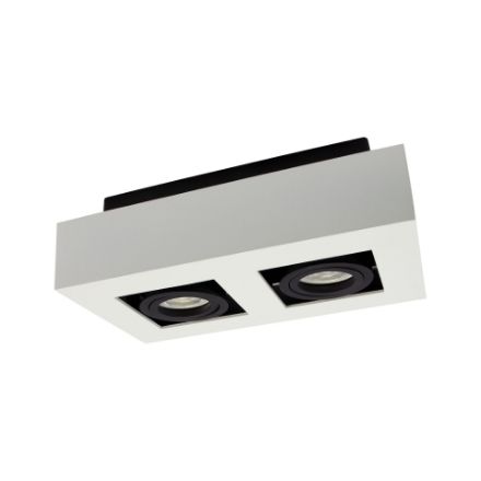 Immagine di FARETTO A SOFFITTO DIREZIONALE IP20  2XGU10 - MIRORA - W/B - 255*145*85 mm