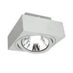 Immagine di PROIETTORI A SOFFITTO - IP20 - 1XGU10-AR111 - 145*145*85 - MIRORA AR111 GU10 ORIENTABILE - BIANCO