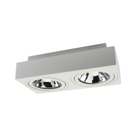 Immagine di PROIETTORI A SOFFITTO - IP20 - 2XGU10-AR111 - 293*145*85 - MIRORA AR111 GU10 ORIENTABILE - BIANCO