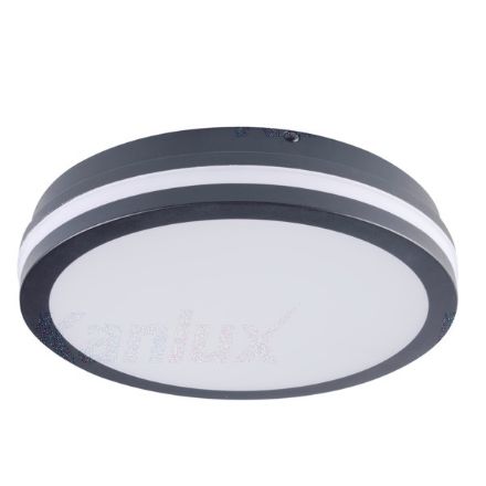 Immagine di ILLUMINAZIONE SOFFITTO E PARETE A LED - IP54 - GRAFITE BENO CIRCOLARE - DISPONIBILE CON E SENZA SENSORE  