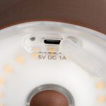 LAMPADA DA TAVOLO