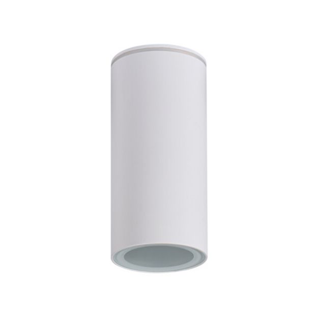 Immagine di PROIETTORE A SOFFITTO AQILO E14 - IP65 - 150*70 - BIANCO