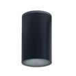 Immagine di PROIETTORE A SOFFITTO AQILO E27 - IP65 - 96*160 - GRAFITE