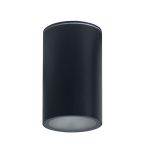 Immagine di PROIETTORE A SOFFITTO AQILO E27 - IP65 - 96*160 - GRAFITE