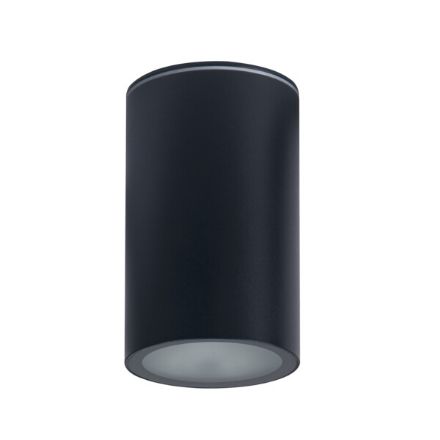 Immagine di PROIETTORE A SOFFITTO AQILO E27 - IP65 - 96*160 - GRAFITE