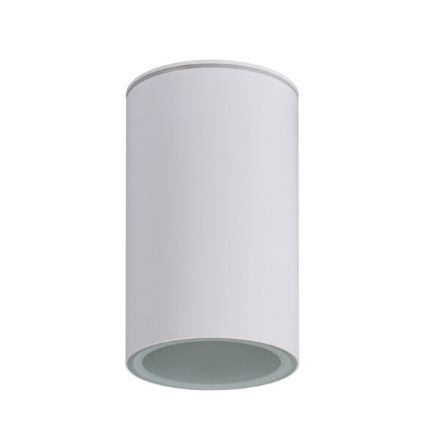 Immagine di PROIETTORE A SOFFITTO AQILO E27 - IP65 - 96*160 - BIANCO