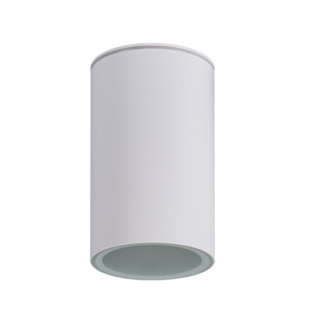 Immagine di PROIETTORE A SOFFITTO AQILO E27 - IP65 - 96*160 - BIANCO