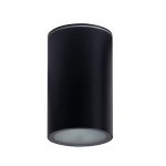 Immagine di PROIETTORE A SOFFITTO AQILO E27 - IP65 - 96*160 - NERO