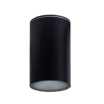 Immagine di PROIETTORE A SOFFITTO AQILO E27 - IP65 - 96*160 - NERO