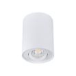 Immagine di PROIETTORE A SOFFITTO ORIENTABILE BORD L - 25° - GU10 - 95*125 - BIANCO - IP20