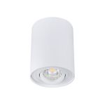 Immagine di PROIETTORE A SOFFITTO ORIENTABILE BORD L - 25° - GU10 - 95*125 - BIANCO - IP20