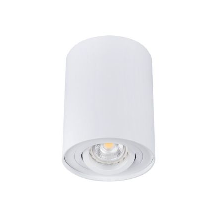 Immagine di PROIETTORE A SOFFITTO ORIENTABILE BORD L - 25° - GU10 - 95*125 - BIANCO - IP20
