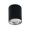 Immagine di PROIETTORE A SOFFITTO ORIENTABILE BORD L - 25° - GU10 - 95*125 - NERO / ARGENTO - IP20 