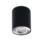 Immagine di PROIETTORE A SOFFITTO ORIENTABILE BORD L - 25° - GU10 - 95*125 - NERO / ARGENTO - IP20 