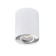 Immagine di PROIETTORE A SOFFITTO ORIENTABILE BORD L - 25° - GU10 - 95*125 - BIANCO / ARGENTO - IP20