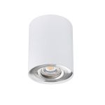 Immagine di PROIETTORE A SOFFITTO ORIENTABILE BORD L - 25° - GU10 - 95*125 - BIANCO / ARGENTO - IP20