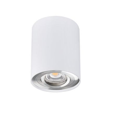 Immagine di PROIETTORE A SOFFITTO ORIENTABILE BORD L - 25° - GU10 - 95*125 - BIANCO / ARGENTO - IP20