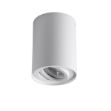 Immagine di PROIETTORE A SOFFITTO ORIENTABILE BORD  XS - 25° - GU10 - 80*115 - BIANCO - IP20 
