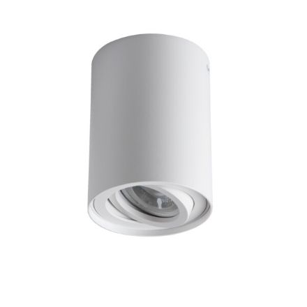 Immagine di PROIETTORE A SOFFITTO ORIENTABILE BORD  XS - 25° - GU10 - 80*115 - BIANCO - IP20 