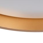 Immagine di Plafoniera led SOLN LED CCT - bianco / oro - IP20 - MAX 25W - 75*380 MM - CON TELECOMANDO